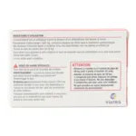 Viatris Paracétamol 1g comprimé