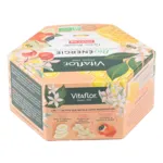 Vitaflor Bio Énergie Gelée Royale 1000 mg ampoules