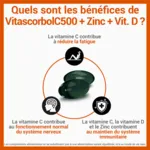 Vitascorbol Vitamine C 500 + Zinc + Vitamine D capsules