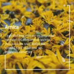Weleda Arnica bain récupération sportive