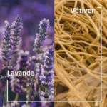 Weleda douche végétale solide Lavande et Vetiver bio