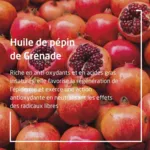 Weleda crème de jour raffermissante bio Grenade et Maca