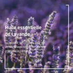 Weleda Lavande bain relaxant Bio