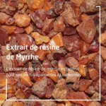 Weleda Myrrhe bain de bouche bio