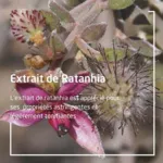 Weleda pâte dentifrice au Ratanhia