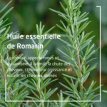 Weleda Romarin huile capillaire nourrissante