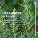 Weleda Romarin lotion capillaire tonifiante bio