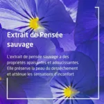 Weleda Skin Food Baume lèvres bio