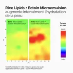 The Ordinary Microémulsion de Lipides de Riz + Ectoïne