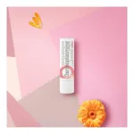 Boiron Dermoplasmine stick lèvres