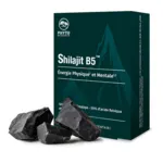 Shilajit B5 gélules