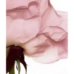 Melvita Source de rose Masque soin de nuit 2 en 1 hydra repulpant bio