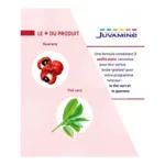 Juvamine Thé vert Guarana gélules