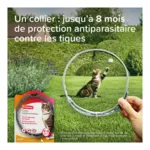 Collier anti puce chat Beaphar
