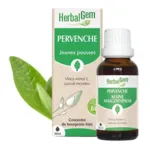 Pervenche Concentré de bourgeons bio