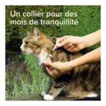 Collier anti puce chat Beaphar