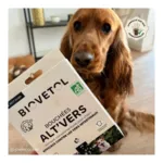 Biovetol bouchées Alt Vers Chien bio