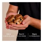 French Mush Shiitake bio gélules