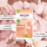 Weleda Tisane allaitement bio sachets