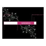 Seremens Règles douloureuses comprimés