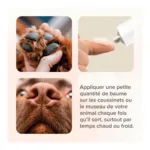 Beaphar Baume coussinets plantaires chien et chat