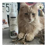 Biovetol lotion anti gratte Chien et Chat