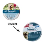Collier anti puces Seresto grand chien