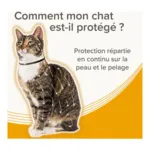 Collier anti puce chat Beaphar