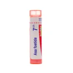 Boiron Asa foetida granules