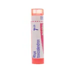 Boiron Rhus toxicodendron granules homéopathiques