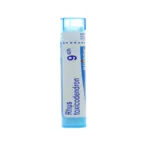 Boiron Rhus toxicodendron granules homéopathiques