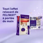 Feliway Happy Snack pour chat sticks