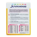 Juvamine 12 vitamines et 9 minéraux comprimés