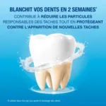 CB12 White bain de bouche