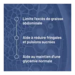 Valbiotis Pro Santé métabolique gélules