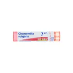 Chamomilla vulgaris granules homéopathie Boiron