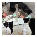 Biovetol Lotion oreilles chien et chat