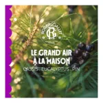 Roger et Gallet parfum d'intérieur