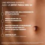 Arkodigest Expert Ballonnements et Flatulences gélules