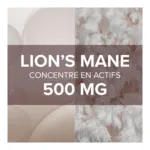 Arkogélules Lion's Mane gélules