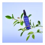 Melvita Eau florale de fleurs d'oranger bio