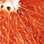 Endro Gommage visage éclat bio