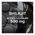 Arkogélules Shilajit gélules