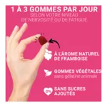 Mag 2 Nervosité Fatigue gummies Framboise