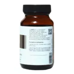 Vitavea Reishi 250 mg gélules