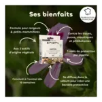 Biovetol pipettes antiparasitaires rongeurs et petits mammifères