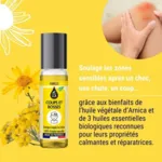 LCA Coups et bosses bio Roll on