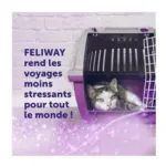 Feliway Classic Spray
