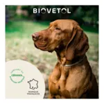 Collier anti puce chien Biovetol