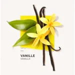 Solinotes Eau de Parfum